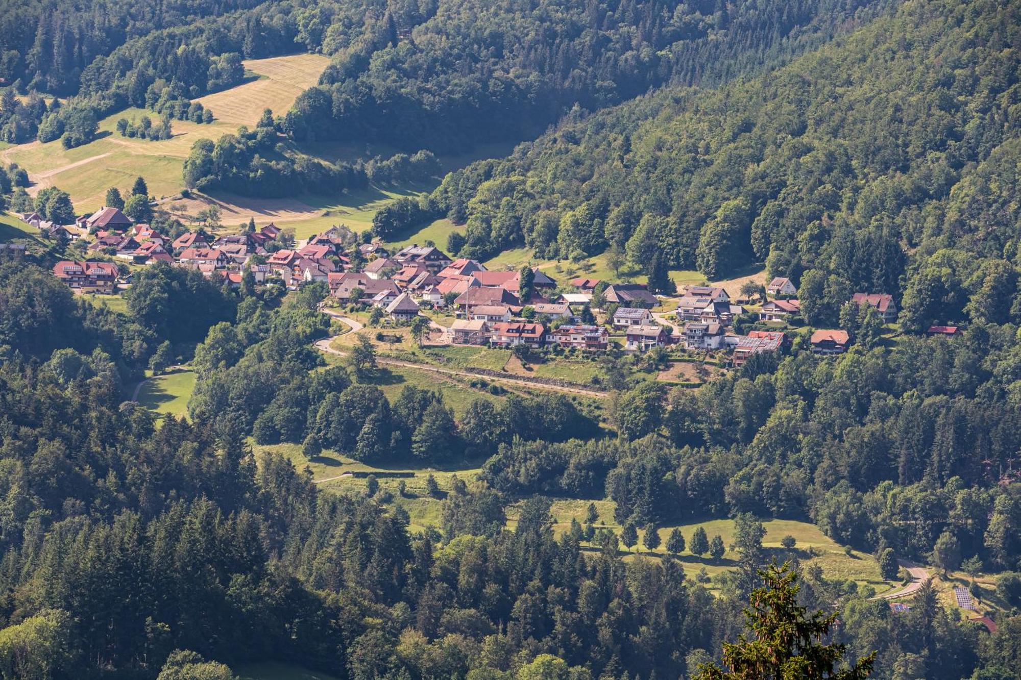 Ferienwohnung Belchenliebe Schonenberg Esterno foto