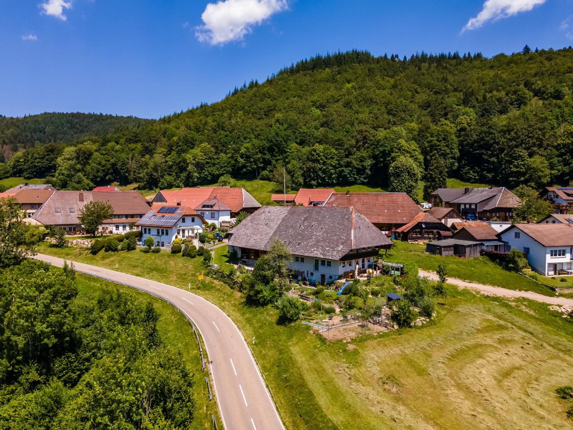 Ferienwohnung Belchenliebe Schonenberg Esterno foto