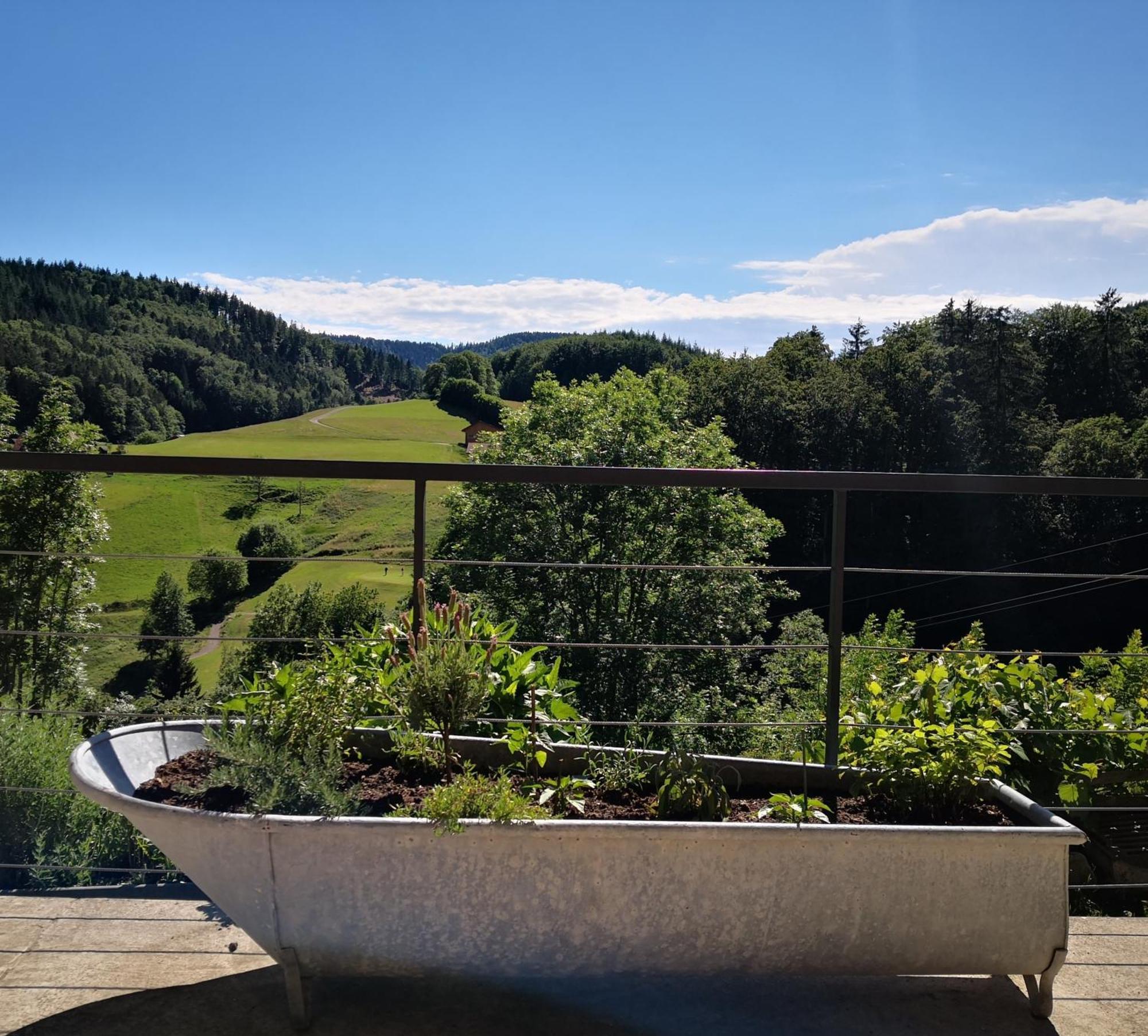 Ferienwohnung Belchenliebe Schonenberg Esterno foto