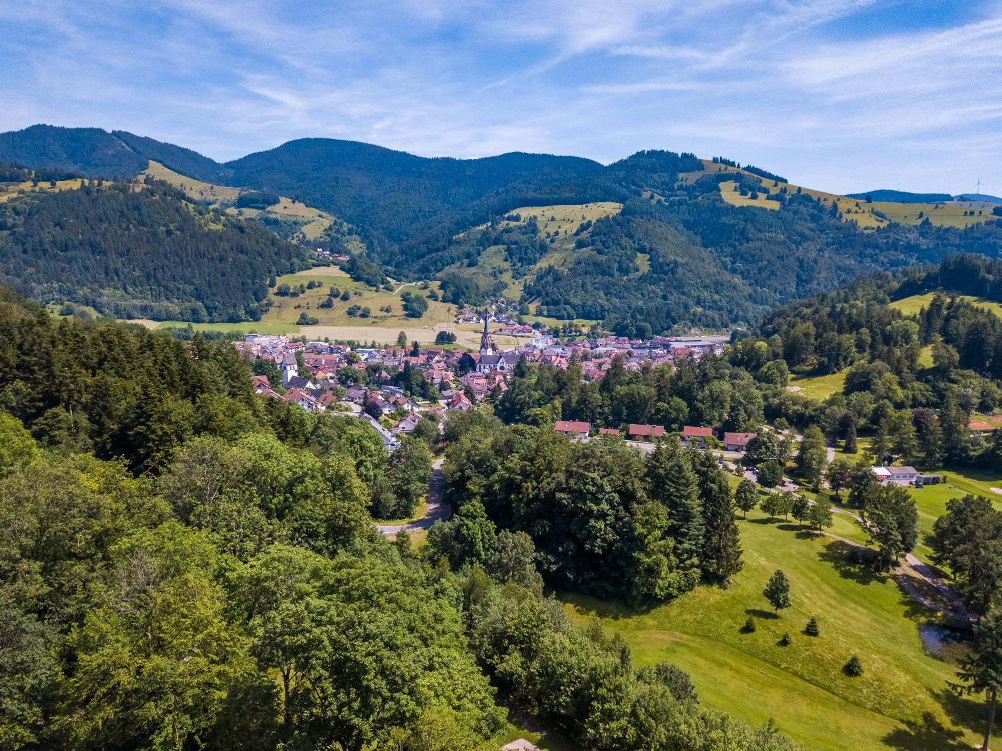 Ferienwohnung Belchenliebe Schonenberg Esterno foto